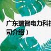 廣東瑞智電力科技有限公司（關于廣東瑞智電力科技有限公司介紹）