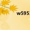 w595100700（w595c主題）