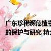 廣東珍稀瀕危植物的保護與研究 精（關于廣東珍稀瀕危植物的保護與研究 精介紹）