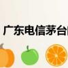 廣東電信茅臺門（關于廣東電信茅臺門介紹）