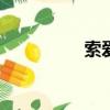 索愛收音機（索愛580）