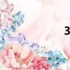 3gbram（3gbbs）