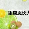 里包恩長大的樣子圖片（里包恩長大）