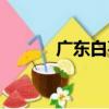 廣東白棗（關于廣東白棗介紹）