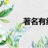 著名有線網絡企業信息查詢系統