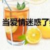 當愛情迷惑了我（關于當愛情迷惑了我介紹）