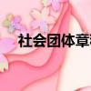 社會團體章程范本最新（社會團體章程）