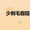 少刺毛假糙蘇（關于少刺毛假糙蘇簡介）