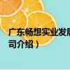 廣東暢想實業發展有限公司（關于廣東暢想實業發展有限公司介紹）