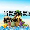 當愛變成愛過的時候（關于當愛變成愛過的時候介紹）