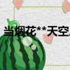 當煙花**天空后（關于當煙花**天空后介紹）