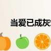 當愛已成灰燼（關于當愛已成灰燼介紹）