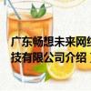廣東暢想未來網絡科技有限公司（關于廣東暢想未來網絡科技有限公司介紹）