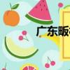 廣東畈村（關于廣東畈村介紹）