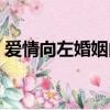 愛情向左婚姻向右視頻（愛情向左婚姻往右）