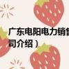 廣東電陽電力銷售有限公司（關于廣東電陽電力銷售有限公司介紹）