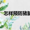 怎樣預防豬腦炎鏈球菌（怎樣預防豬流感）