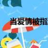 當愛情被指派（關于當愛情被指派介紹）