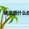 豬流感什么癥狀能不能治好（豬流感什么癥狀）