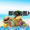 鄙視的圖片霸氣豎中指（鄙視的英文）