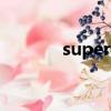 superwinner（superwear）