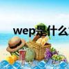 wep是什么意思中文（wep是什么意思）