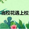 當校花遇上校草（關于當校花遇上校草介紹）