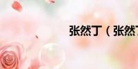 張然丁(張然丁)
