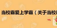 當校霸愛上學霸(關于當校霸愛上學霸介紹)