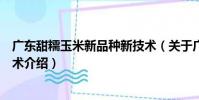 廣東甜糯玉米新品種新技術(關于廣東甜糯玉米新品種新技術介紹)