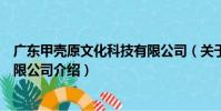 廣東甲殼原文化科技有限公司(關于廣東甲殼原文化科技有限公司介紹)