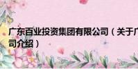 廣東百業投資集團有限公司(關于廣東百業投資集團有限公司介紹)