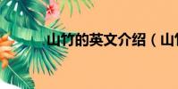 山竹的英文介紹(山竹的英文)