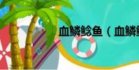 血鱗鯰魚(血鱗鯰魚)