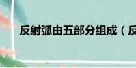 反射弧由五部分組成(反射弧示意圖)