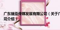 廣東瑞亞傳媒發展有限公司(關于廣東瑞亞傳媒發展有限公司介紹)