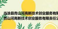 當涂縣青山河高新技術創業服務有限責任公司(關于當涂縣青山河高新技術創業服務有限責任公司介紹)