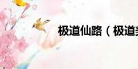 極道仙路(極道美受)