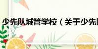 少先隊城管學校(關于少先隊城管學校簡介)