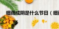 細雨成陰是什么節日(細雨成陰近夕陽)