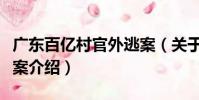 廣東百億村官外逃案(關于廣東百億村官外逃案介紹)