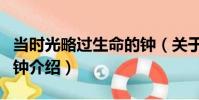 當時光略過生命的鐘(關于當時光略過生命的鐘介紹)