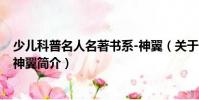 少兒科普名人名著書系-神翼(關于少兒科普名人名著書系-神翼簡介)
