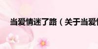 當愛情迷了路(關于當愛情迷了路介紹)