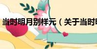 當時明月別樣元(關于當時明月別樣元介紹)