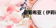 伊莉希亞(伊莉論壇)