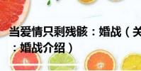 當愛情只剩殘骸:婚戰(關于當愛情只剩殘骸:婚戰介紹)