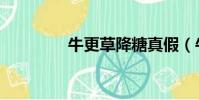 牛更草降糖真假(牛更草)