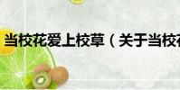 當校花愛上校草(關于當校花愛上校草介紹)