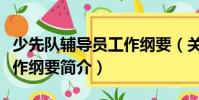 少先隊輔導員工作綱要(關于少先隊輔導員工作綱要簡介)